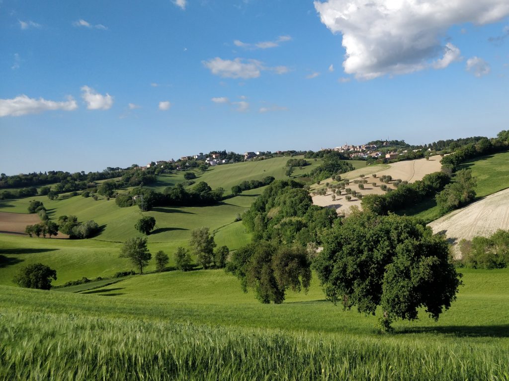 Parakolarski Puchar Świata UCI (Corridonia, ITA)